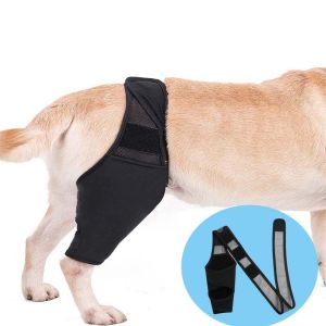 CUTE ELVES Injury Recover Adjustable Disabled Joint Injury Hock Joint Wrap For Right Left Leg Help Weak Legs Dog Support Brace Dog Protector Support Pet Supplies Pet Knee Pads