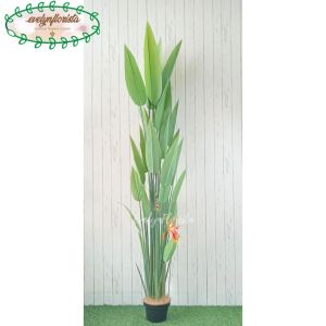 Pohon Hias Daun Pisangan Heliconia Bunga Paradise T210 Latex Pot Dasar Hitam Dekorasi Ruang Tamu