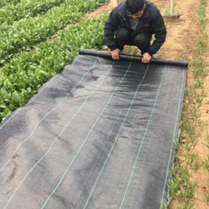 [Selling per meter] 1M 1.2M 2M 3M HEIGHT 70gsm 90gsm GARDEN WEED CONTROL MAT (WEEDMAT)/ GARDENING MAT/TIKAR KAWALAN RUMPAI/WEED BARRIER GARDEN LANDSCAPE pp sheet