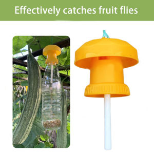 5PCS Fruit fly trap killer Attractant Val fly bait flying bee Drosophila Catcher Insect fruitfly trap perangkap lalat buah
