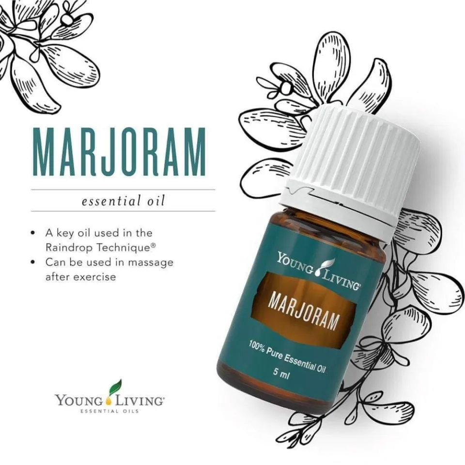 100% Original Young Living MARJORAM Pure Essential Oil Blend 15ml