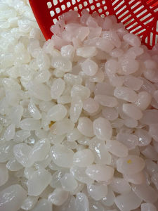 Hạt đác NON VỠ XƯỚC ÍT DẺO(LOẠI 2)- Topping đồ uống