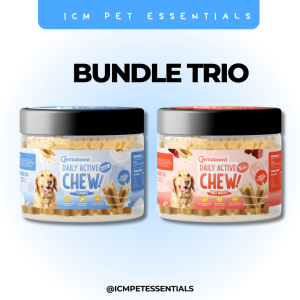 Dentaboost Bundle Daily Active Chew & Fruirty Denta sticks Bundle of 5PCS