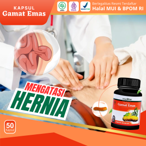 Gamat Emas Kapsul 100% Original - Obat Hernia Turun Peranakan Turun Berok Varikokel Benjolan Diperut