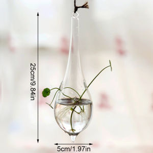 แจกันของตกแต่งงานแต่งงานบ้านปาร์ตี้ทรงลูกบอล2ตร. ม. แจกันกระจกสำหรับแขวนสุดสร้างสรรค์แจกันปลูกพืชไฮโดรโปนิกส์ภาชนะกระถางต้นไม้สำหรับดอกไม้ประดับตกแต่งพืช