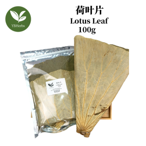 荷叶片 100g Lotus Leaf Daun Teratai Kering 荷叶 中药 养生 干荷叶 He Ye Chinese Herb