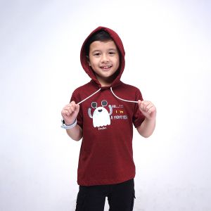DECKS KIDS BAJU KAOS ANAK LAKI LAKI HOODIE USIA 1-10 TAHUN MONSTER MAROON