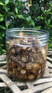 บอระเพ็ดแช่น้ำผึ้ง (สูตรโบราณ) บรรจุประมาณ 200 ชิ้น ไก่กินข้าวเก่ง ขี้สวย ทนโรค