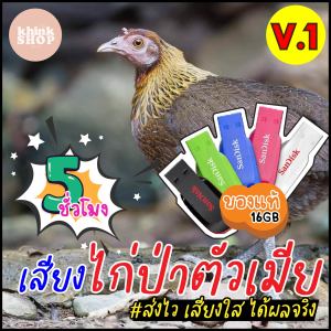 เสียงต่อไก่ป่าตัวเมีย เมมเสียงไก่ป่าตัวเมีย แฟลชไดร์ฟเสียงต่อไก่ป่าตัวเมีย มีเก็บเงินปลายทาง