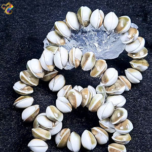 Natural Sun Conch Shell Bracelet