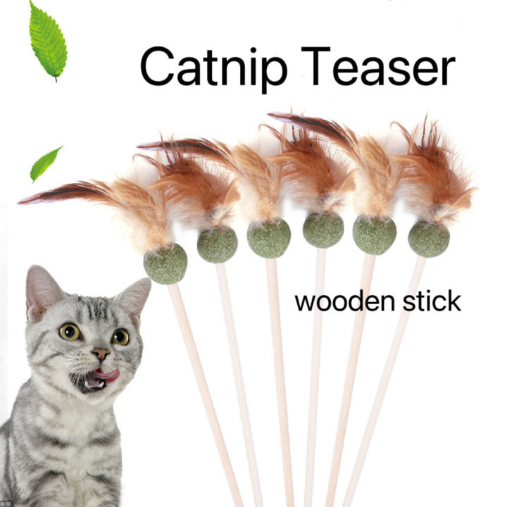Catnip teaser 50cm pet toy Lollipop Toy Interactive feather teaser with