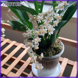 ZHUYUN 11 14cm Mesh Pot Root Control Transparent Flowerpot For Orchid Flower Breathable Growth Container Garden Plastic Flower Pot