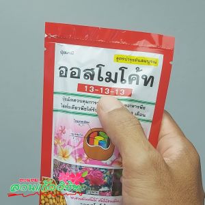 ปุ๋ยใส่ต้นไม้ ปุ๋ยละลายช้าสูตรเสมอ 13-13-13 เร่งการเจริญเติปโตของต้นไม้โดยรวม ปุ๋ยประหยัดเวลาในการดูแลต้นไม้ ใส่ 1ครั้ง อยู่ได้ 3เดือน