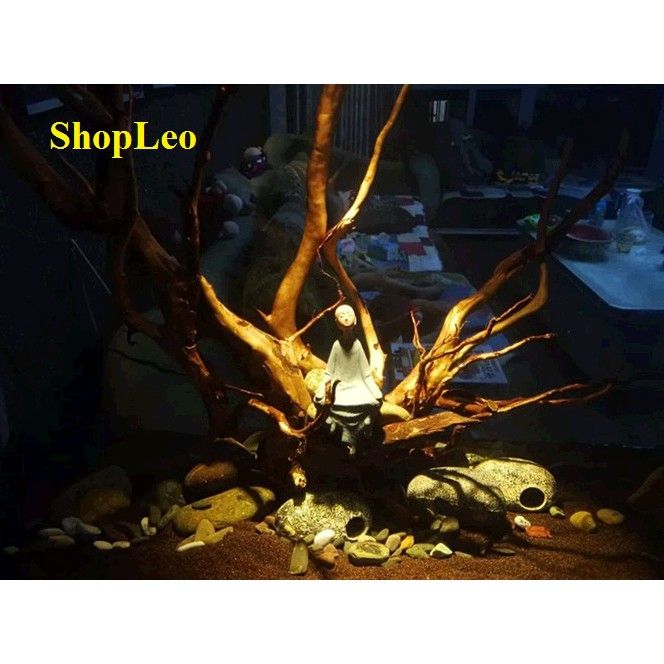 %C4%90%C3%88N%20LED%20SI%C3%8AU%20R%E1%BB%8CI%207W%20-%203%20CH%E1%BA%BE%20%C4%90%E1%BB%98%20M%C3%80U%20-%20%C4%90%C3%88N%20LED%20BIOTOP-%20%C4%91%C3%A8n%20r%E1%BB%8Di%20b%E1%BB%83%20c%C3%A1%20-%20biotop%20-%20ph%E1%BB%A5%20ki%E1%BB%87n%20th%E1%BB%A7y%20sinh%20-%20shopleo%20-%20Image%204