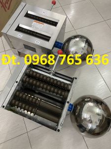 Máy làm viên tễ viên hoàn thuốc đông y size 3g 6g 9g
