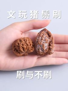 Wholesale of maintenance and cleaning tools for stationery brushes wave shaped hard bristle brushes diamond bodhi olive walnuts文玩刷子波浪型硬猪鬃毛刷金刚菩提橄榄核桃专用保养清理工具批发