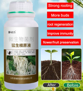W 【1/2PCS】Plant rooting agent  Strong Seedling Agent  for Robust Roots Accelerate Root