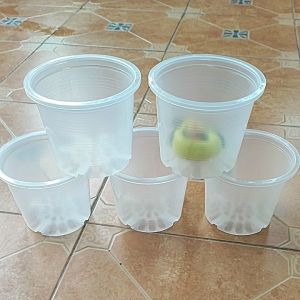 กระถางต้นไม้ 6 นิ้ว แบบใส แพ็คละ 5 ใบ สินค้าพร้อมส่งมาก ๆ ๆ
