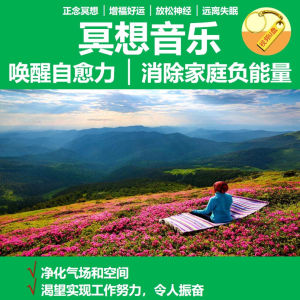【Ship in 24H】音乐U盘  USB drive   冥想音乐U盘正念冥想增福好运·消除家庭负能量·净化气场和空间3.10