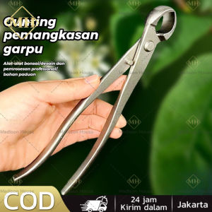 Gunting Dahan Pemotong Catok Bonsai 21cm 210mm Cabang Pohon Berkebun Tanaman Hias