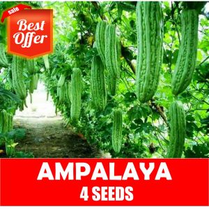 Ampalaya Long Green Seeds | 4 seeds