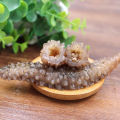 [Huadong storeL] Dried Sea Cucumber, Wild Dried Sea Cucumber/Instant Dalian Liaoxiao Sea Cucumber Seafood 3 Roots. 