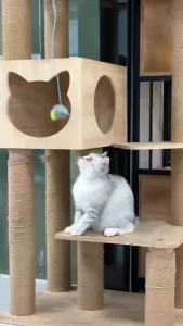 Electric Hanging Door Mouse Teasing Cat Stick Elastic Clip Door Swing Hanging Jumping Cat Interactive Toy ReliefSupplies