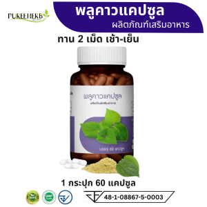 Puree Herb ภูรีเฮิร์บ พลูคาว แคปซูล อาหารเสริม 1 ขวด 60 แคปซูล ผิวหนัง ผด ผื่น คัน แพ้ เชื้อรา