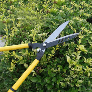 กรรไกรตัดหญ้า กรรไกรตัดแต่งพุ่มไม้ Lawn shears กรรไกรแต่งสวน