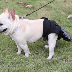 Reusable Doggies Period Diaper with Poop Bag for Small Medium Dogs Pet Underwears Gift Pet Dog Comfortable Nappies