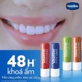 Son dưỡng môi vaseline bộ cao cấp 4.8g. 