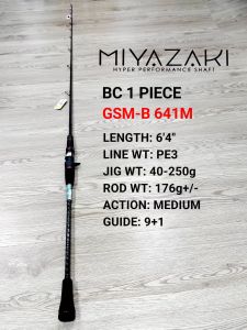 ⭐G-TECH MIYAZAKI SPINNING / BAITCASTING (BC) JIGGING ROD