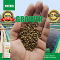 grower TATEH Aquafeeds 5 KILO Tilapia, Hito, Bangus, Koi ETC.. 