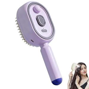 【Local Stock】Electric Steam Brush Red Light Air Cushion Mister for Frizz Control Rechargeable Detangling Steam Hair Straightener with Water Spray Ideal for Home Spa Grooming Styling Tool