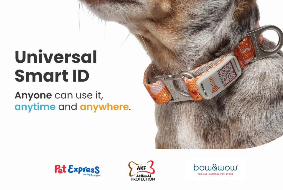 NeoCollar 2-in-1 collar with ID tag Dog Collar Cat Collar