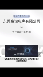 1.75Inch Full Frequency Speaker 4Ohm 10W Output Double Magnets System 19Core Design Enhances Audios Performances