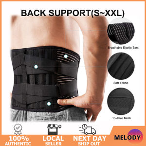 【SG Stock】Back Support-Brace For Lower Back Pain Relief Anti-Skid Lumbar Support Men/Women-Lumbar Support/Waist Support 護腰背帶