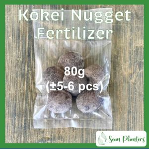 Sean Planters’ Kokei Nugget Lotus WaterLily Fertilizer for Aquatic Water Plant Osmocote Baja Bunga Teratai 莲花荷花蓮花肥料