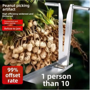🌱 Dụng Cụ Tách Hạt Đậu Phộng – Lạc Tươi – Trồng Lạc Cho Bò Ăn Quá Tiện Lợi!