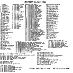 masteran burung mp3 - melatih burung berkicau