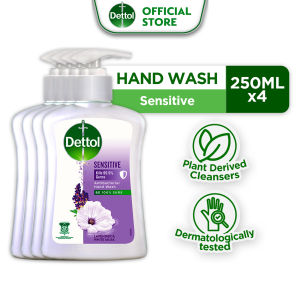 Dettol Hand Wash Assorted Variant 250ML Bundle of 4