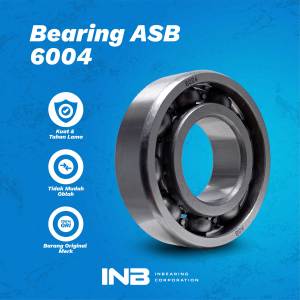 Bearing Laker 6004 ASB Bearing Nap Gear Ninja R RR SS ZX Mx King Vega R Vega ZR INB Original ASB