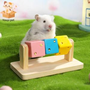 ER52858 Bite Resistant Hamster Cube Toy Wood Funny Guinea Pig Chew Toys Cube Hamster Toy Rainbow Pet Chew Blocks For Guinea Pig Rats Ferret