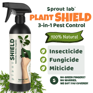 Sprout lab | Plant SHIELD Natural Pest Control Spray | 3 in 1 - Insecticide Miticide Fungicide | Pet Safe & Family Safe | 500ml