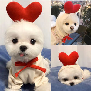 Áo lông cừu mùa đông dễ thương quần áo chó cưng Apple chuối cà rốt trái cây hoạt hình quần áo chó con cho trang phục mèo cưng chó trung bình nhỏ