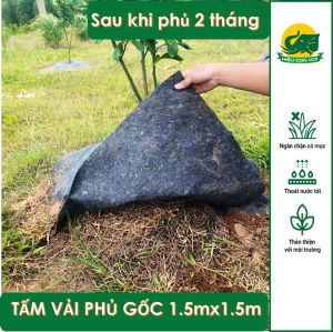 Tấm vải chống cỏ cho cây sầu riêng 2mx2m Tặng kèm ghim nhựa
