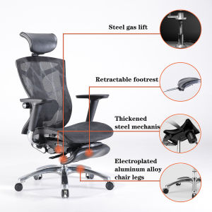 SIHOO V1 Ergonomic Office Gaming Chair with 2 Year Warranty - High-Back, Dragon Pattern Mesh, Adjustable Lumbar Support, 4D Armrest, Recline-Lock Position, Polished Aluminum Base - Sihoo Official