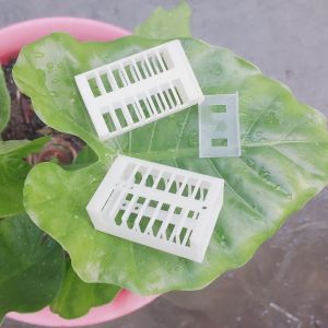Kurungan Ratu Lebah Apis Cerana Kurungan Ratu Lebah Apis Melifera Bentuk Kotak Warna Putih original Alat Ternak Lebah Bee