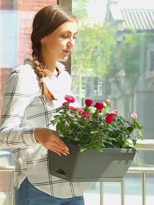 LZD  Chậu Trồng Rau Horen Dày Chậu Nhựa Lười Chậu Hoa Ban Công Chậu Hoa Máng Trồng Hình Chữ Nhật Cực Lớn