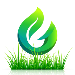 Rumput Sintetis Swiss Ukuran 100cm x 20cm - Dekorasi Aquarium & Rumput Indoor/Outdoor